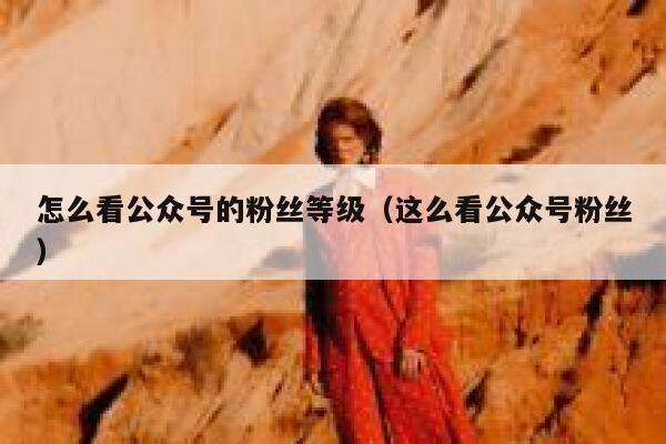 怎么看公众号的粉丝等级（这么看公众号粉丝） 第1张
