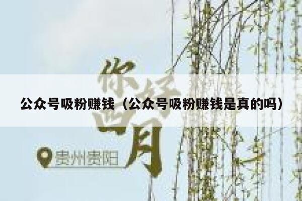 公众号吸粉赚钱（公众号吸粉赚钱是真的吗） 第1张