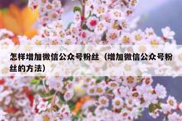 怎样增加微信公众号粉丝（增加微信公众号粉丝的方法） 第1张