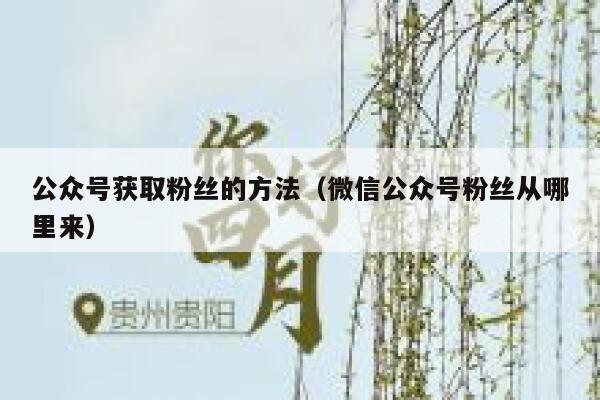 公众号获取粉丝的方法（微信公众号粉丝从哪里来） 第1张