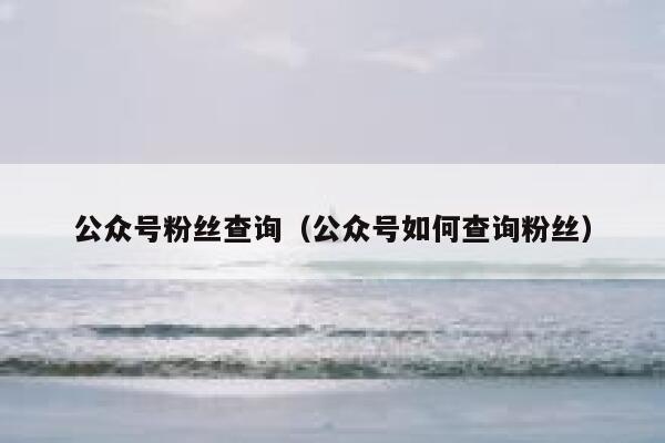 公众号粉丝查询（公众号如何查询粉丝） 第1张