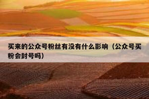 买来的公众号粉丝有没有什么影响（公众号买粉会封号吗） 第1张