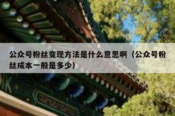 公众号粉丝变现方法是什么意思啊（公众号粉丝成本一般是多少） 第1张