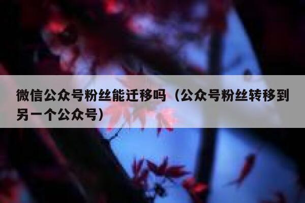 微信公众号粉丝能迁移吗（公众号粉丝转移到另一个公众号） 第1张