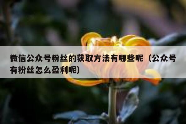 微信公众号粉丝的获取方法有哪些呢（公众号有粉丝怎么盈利呢） 第1张