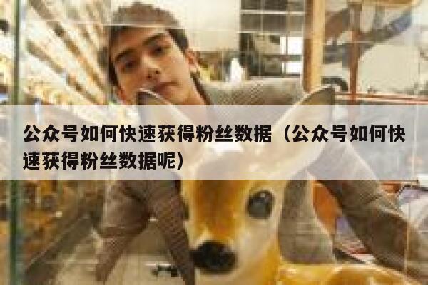公众号如何快速获得粉丝数据（公众号如何快速获得粉丝数据呢） 第1张