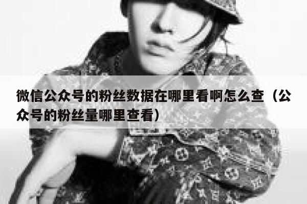 微信公众号的粉丝数据在哪里看啊怎么查（公众号的粉丝量哪里查看） 第1张