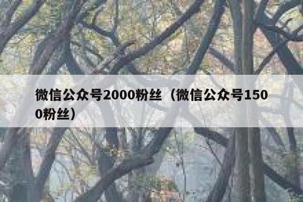 微信公众号2000粉丝（微信公众号1500粉丝） 第1张