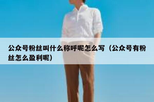 公众号粉丝叫什么称呼呢怎么写（公众号有粉丝怎么盈利呢） 第1张