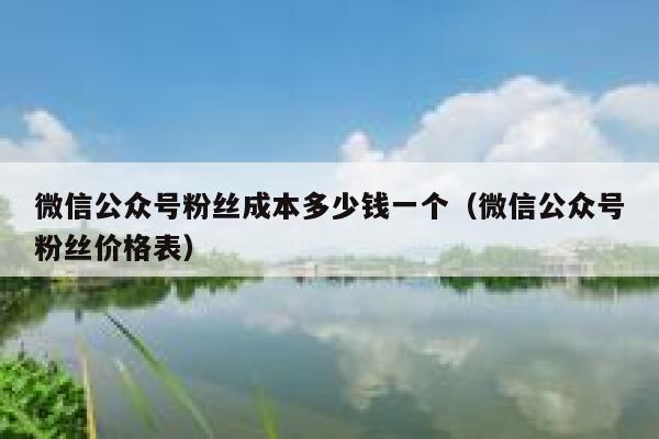 微信公众号粉丝成本多少钱一个（微信公众号粉丝价格表） 第1张