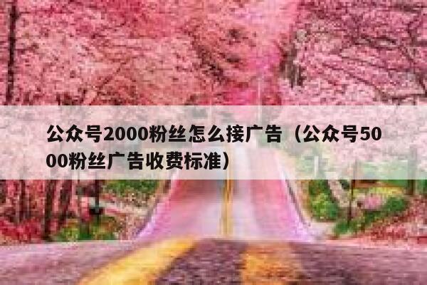 公众号2000粉丝怎么接广告（公众号5000粉丝广告收费标准） 第1张