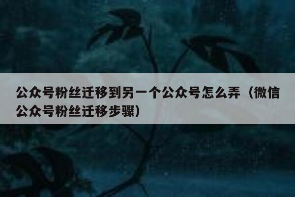 公众号粉丝迁移到另一个公众号怎么弄（微信公众号粉丝迁移步骤） 第1张