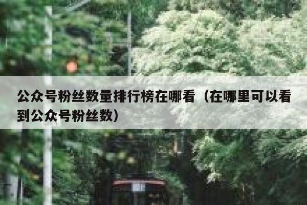 公众号粉丝数量排行榜在哪看（在哪里可以看到公众号粉丝数） 第1张