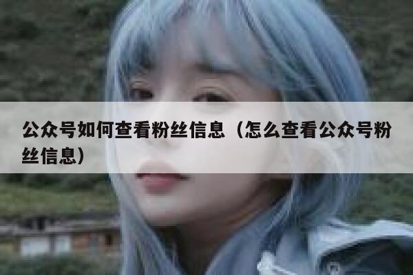 公众号如何查看粉丝信息（怎么查看公众号粉丝信息） 第1张