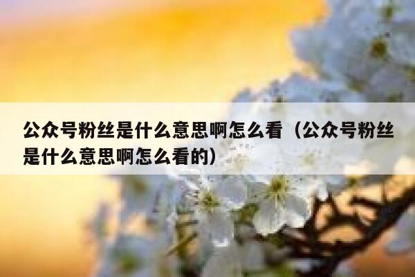 公众号粉丝是什么意思啊怎么看（公众号粉丝是什么意思啊怎么看的） 第1张