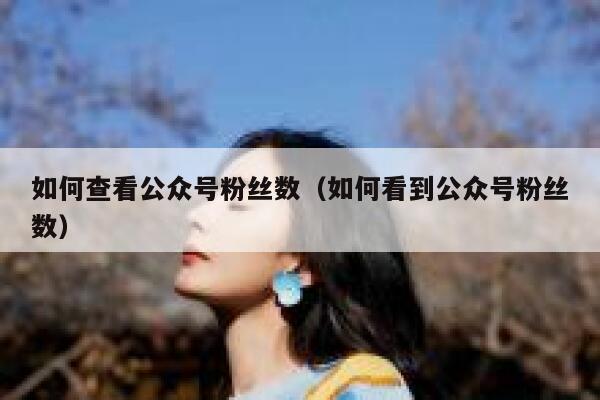 如何查看公众号粉丝数（如何看到公众号粉丝数） 第1张