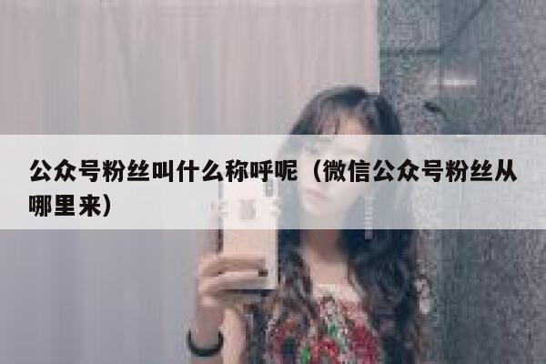 公众号粉丝叫什么称呼呢（微信公众号粉丝从哪里来） 第1张