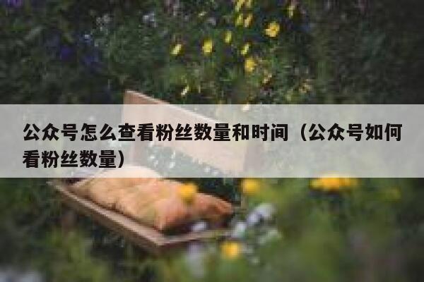 公众号怎么查看粉丝数量和时间（公众号如何看粉丝数量） 第1张