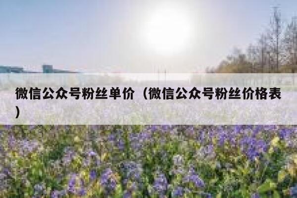 微信公众号粉丝单价（微信公众号粉丝价格表） 第1张