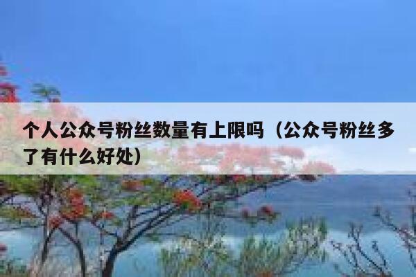 个人公众号粉丝数量有上限吗（公众号粉丝多了有什么好处） 第1张