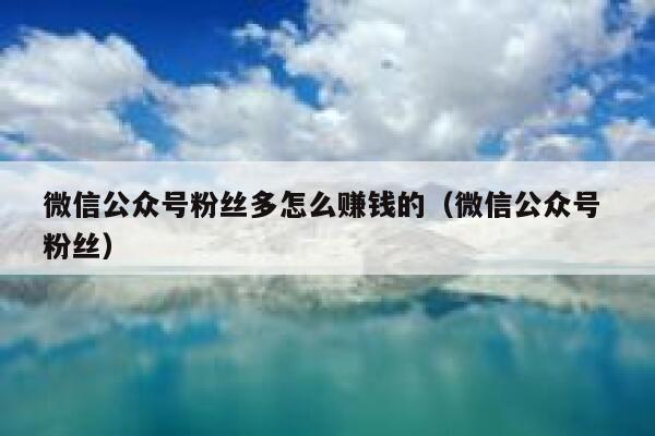 微信公众号粉丝多怎么赚钱的（微信公众号 粉丝） 第1张