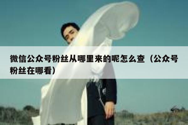 微信公众号粉丝从哪里来的呢怎么查(公众号粉丝在哪看) 第1张 微信公众号粉丝从哪里来的呢怎么查(公众号粉丝在哪看) 第1张