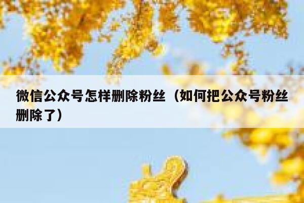 微信公众号怎样删除粉丝（如何把公众号粉丝删除了） 第1张