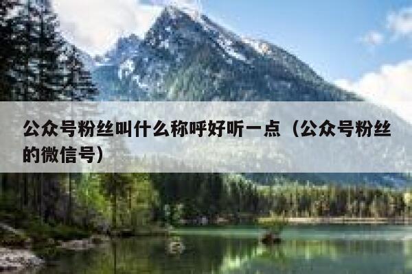 公众号粉丝叫什么称呼好听一点（公众号粉丝的微信号） 第1张