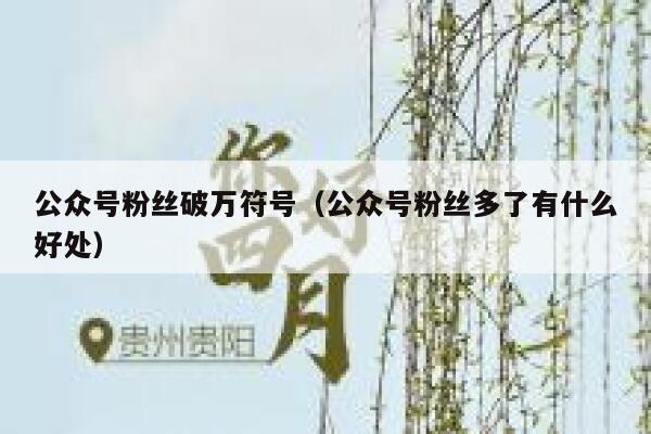 公众号粉丝破万符号（公众号粉丝多了有什么好处） 第1张