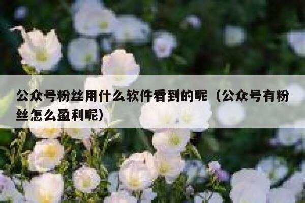 公众号粉丝用什么软件看到的呢（公众号有粉丝怎么盈利呢） 第1张