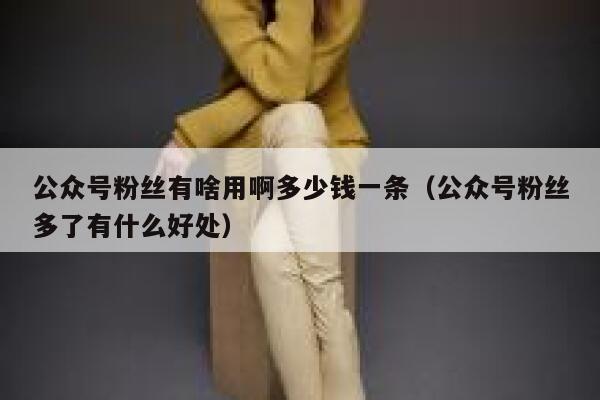 公众号粉丝有啥用啊多少钱一条(公众号粉丝多了有什么好处) 第1张 公众号粉丝有啥用啊多少钱一条(公众号粉丝多了有什么好处) 第1张