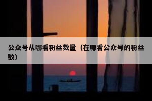 公众号从哪看粉丝数量(在哪看公众号的粉丝数) 第1张 公众号从哪看粉丝数量(在哪看公众号的粉丝数) 第1张
