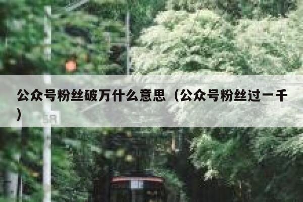 公众号粉丝破万什么意思（公众号粉丝过一千） 第1张