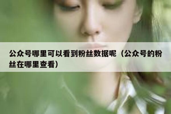 公众号哪里可以看到粉丝数据呢（公众号的粉丝在哪里查看） 第1张