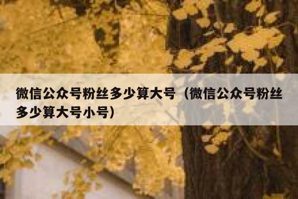 微信公众号粉丝多少算大号（微信公众号粉丝多少算大号小号） 第1张