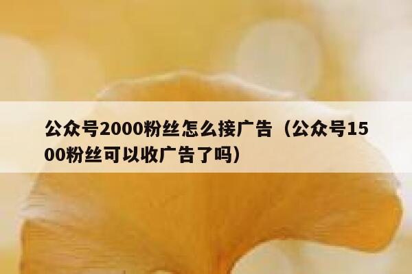 公众号2000粉丝怎么接广告（公众号1500粉丝可以收广告了吗） 第1张