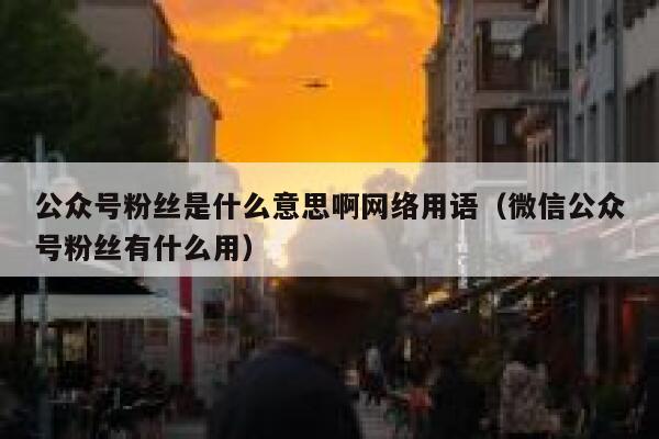 公众号粉丝是什么意思啊网络用语（微信公众号粉丝有什么用） 第1张