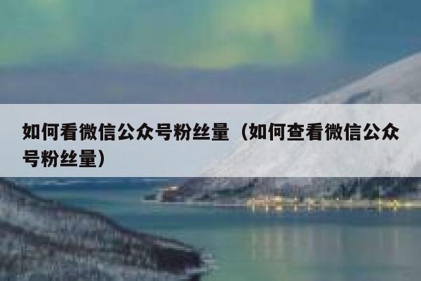 如何看微信公众号粉丝量（如何查看微信公众号粉丝量） 第1张