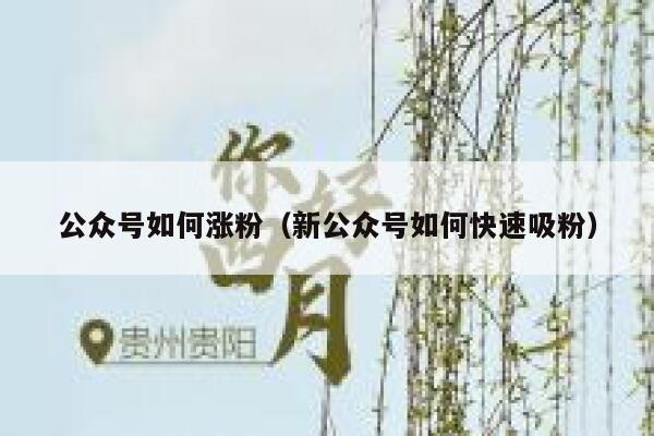 公众号如何涨粉（新公众号如何快速吸粉） 第1张