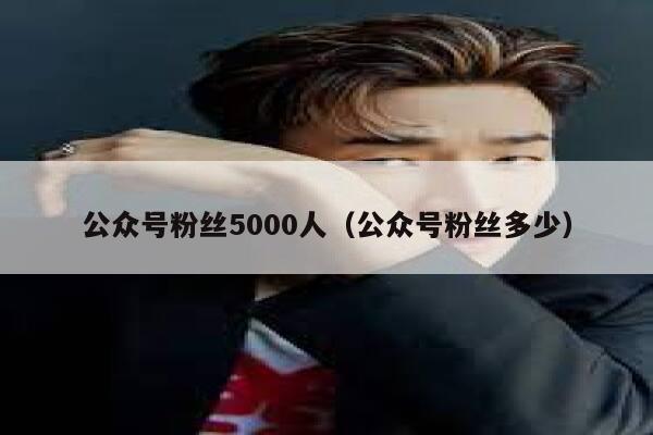 公众号粉丝5000人（公众号粉丝多少） 第1张