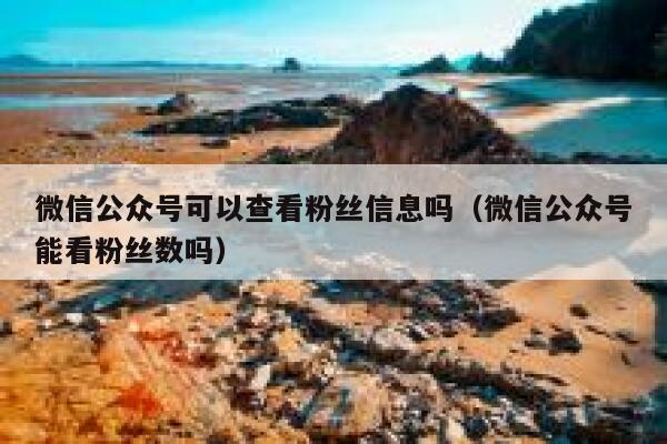 微信公众号可以查看粉丝信息吗（微信公众号能看粉丝数吗） 第1张