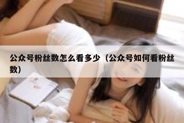 公众号粉丝数怎么看多少（公众号如何看粉丝数） 第1张