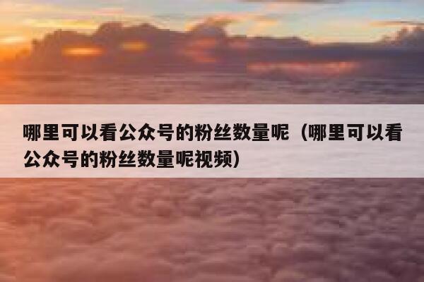 哪里可以看公众号的粉丝数量呢（哪里可以看公众号的粉丝数量呢视频） 第1张