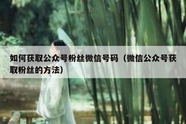 如何获取公众号粉丝微信号码（微信公众号获取粉丝的方法） 第1张