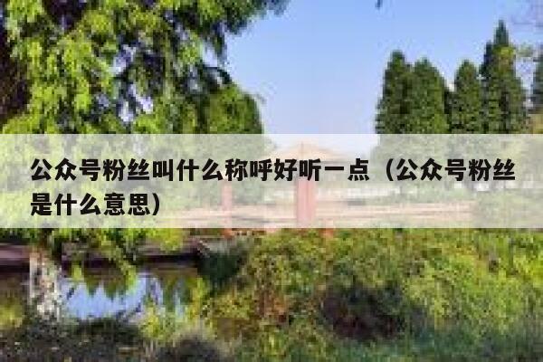 公众号粉丝叫什么称呼好听一点（公众号粉丝是什么意思） 第1张