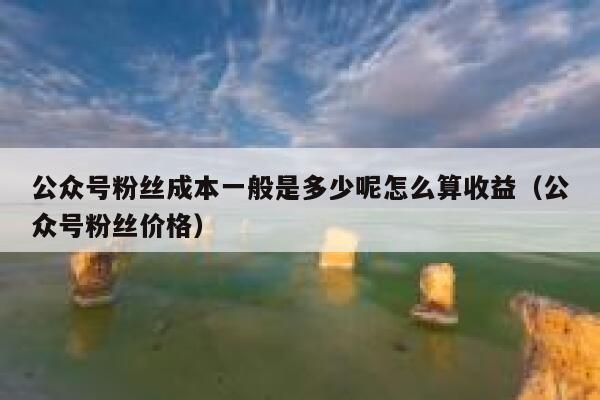 公众号粉丝成本一般是多少呢怎么算收益（公众号粉丝价格） 第1张