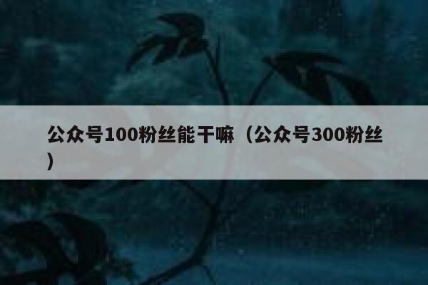 公众号100粉丝能干嘛（公众号300粉丝） 第1张