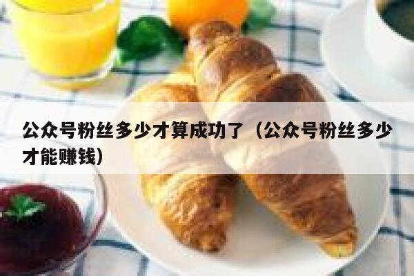 公众号粉丝多少才算成功了(公众号粉丝多少才能赚钱) 第1张 公众号粉丝多少才算成功了(公众号粉丝多少才能赚钱) 第1张