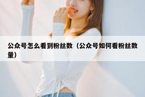 公众号怎么看到粉丝数（公众号如何看粉丝数量） 第1张