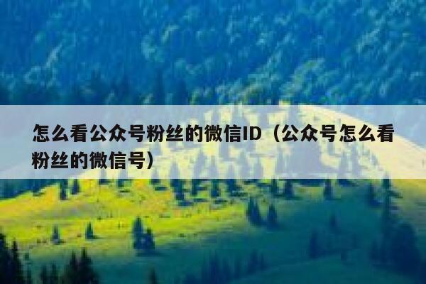 怎么看公众号粉丝的微信ID（公众号怎么看粉丝的微信号） 第1张